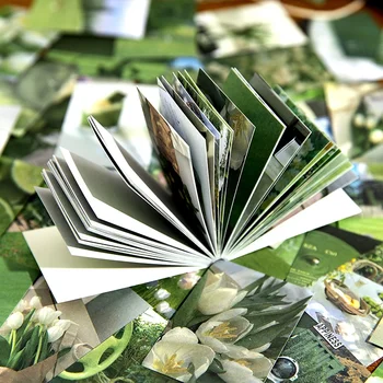 50 Kosov Nalepke umetnosti rastlin sliko priročniku priročnik račun dekorativnih materialov prilepljene Nalepke Scrapbooking 6 Modelov