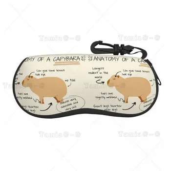 Anatomija Capybara Eyeglass Očala Primeru Ženske, Moške, Mehka, Sončna Očala, Zaščitno Polje